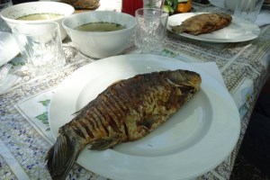 Обед-пикник с ухой и карбованными карасями